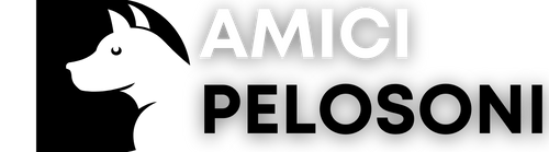 AMICIPELOSONI