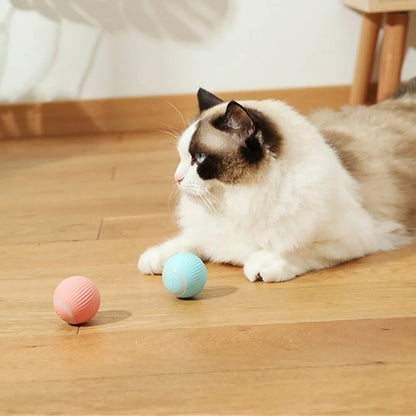 Palla interattiva per gatti